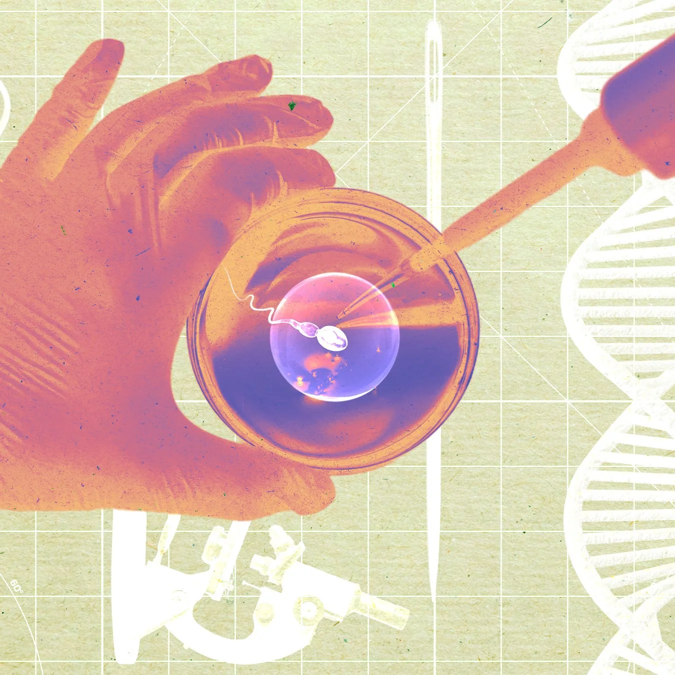 Startup Develops Lab-Cultivated Human Sperm for Embryo Creation
